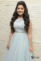 Anupama Parameswaran At Vunnadhi Okate Zindagi Movie Pre Release Function